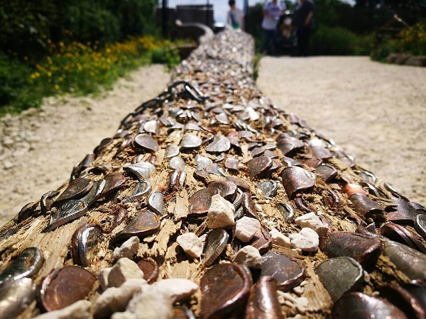 tropical-butterfly-house-coin-hammering