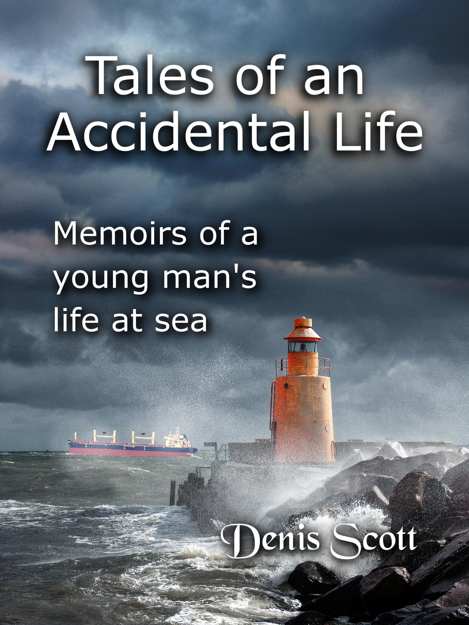 Tales Of An Accidental Life Book Review A Quintillion Words