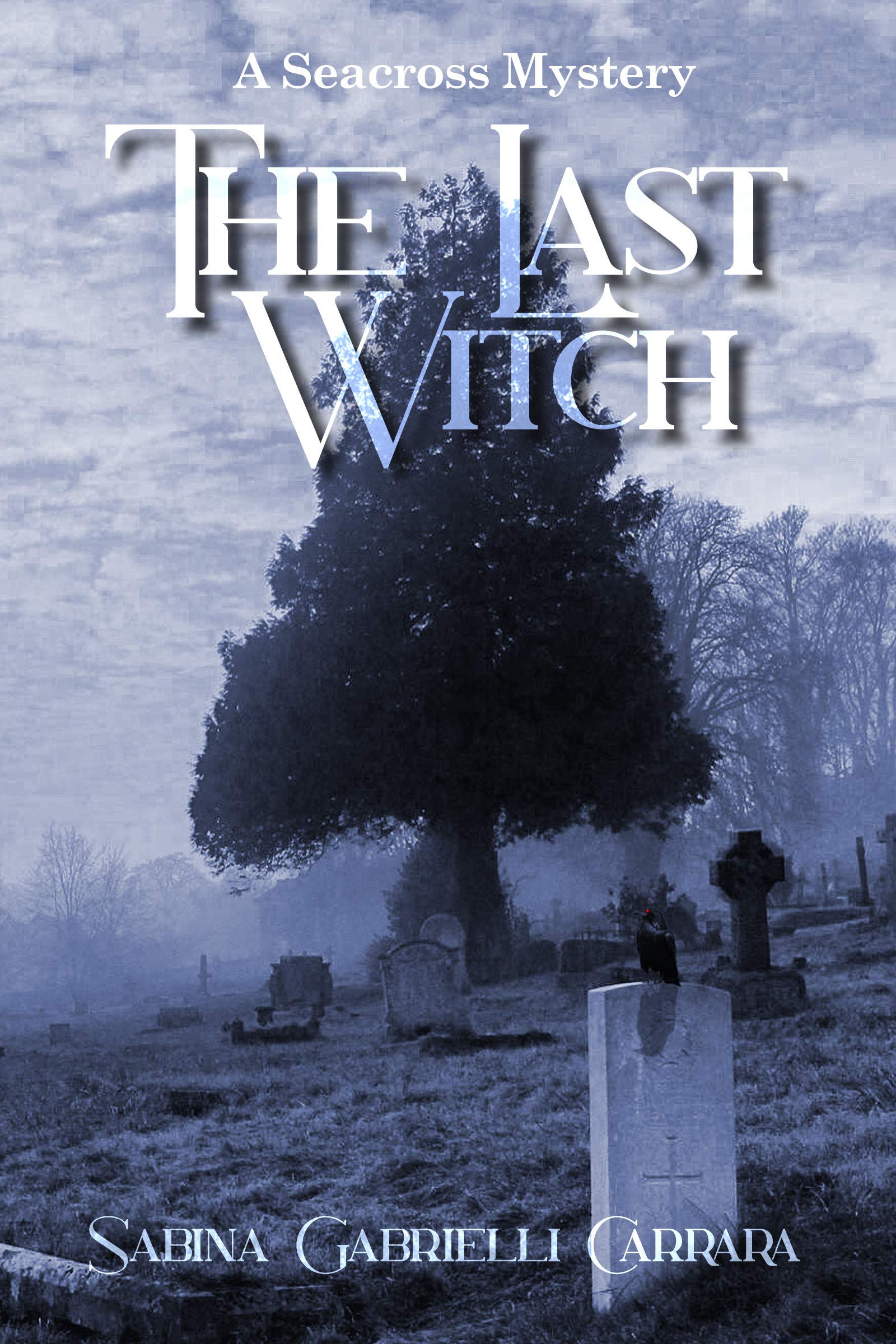 The Last Witch – Book Review – A Quintillion Words | Book Reviewer